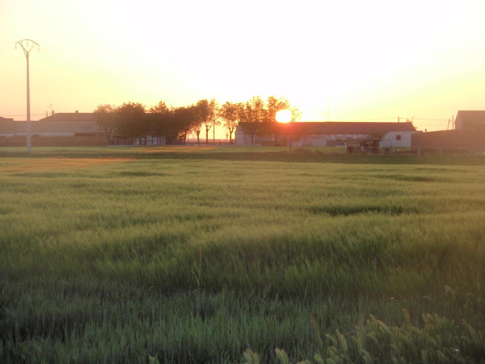 Casa Rural La Sastreria De Adanero Exteriér fotografie